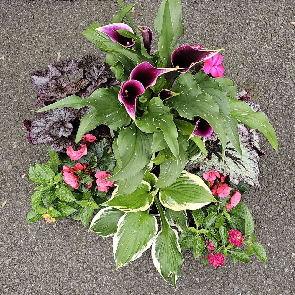 flower-arrangement